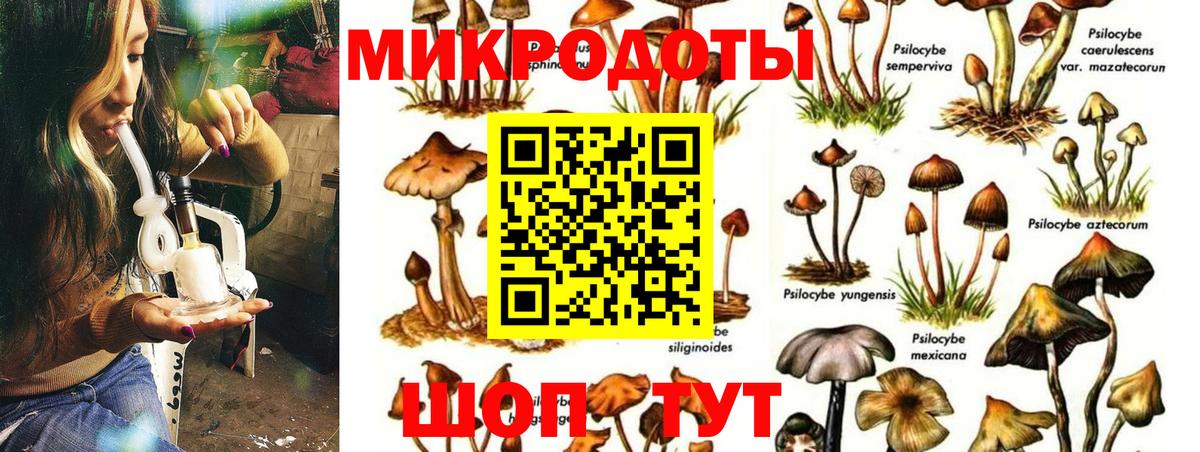 Ишим  Галлюциногенные грибы GOLDEN TEACHER  Вход с VPN 
